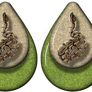 以下が含まれることがあります： 緑色の背景とベージュのインナーサークルを持つ、涙滴型のイヤリングのペア。サークルの中には、茶色とベージュのヘビが丸まっている。