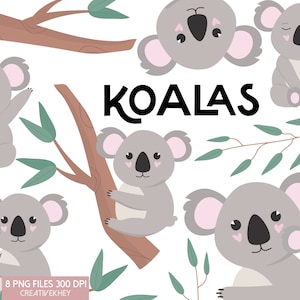 Koala Clipart, Koala PNG, Cute Koala clipart