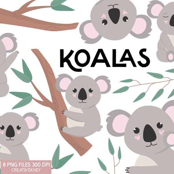 Koala Clipart, Koala PNG, Cute Koala clipart