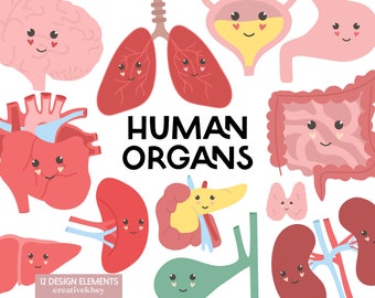 Human Organs Clipart, Lung Clip Art, Human Anatomy Clipart, Body Parts Clip Art