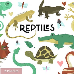 May include: A set of 19 colorful reptile illustrations, including a green iguana, a brown lizard, a green crocodile, a brown snake, a green turtle, a brown snake, a green chameleon, a brown monitor lizard, and a yellow gecko. The illustrations are in a cartoon style and are perfect for use in children's books, educational materials, or crafts.