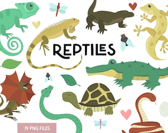 Könnte beinhalten: Ein Set mit 19 bunten Reptilien-Illustrationen, darunter ein grüner Leguan, ein braunes Eidechse, ein grünes Krokodil, eine braune Schlange, eine grüne Schildkröte, eine braune Schlange, ein grünes Chamäleon, ein brauner Waran und ein gelbes Gecko. Die Illustrationen sind im Cartoon-Stil gehalten und eignen sich perfekt für Kinderbücher, Lehrmaterialien oder Bastelarbeiten.