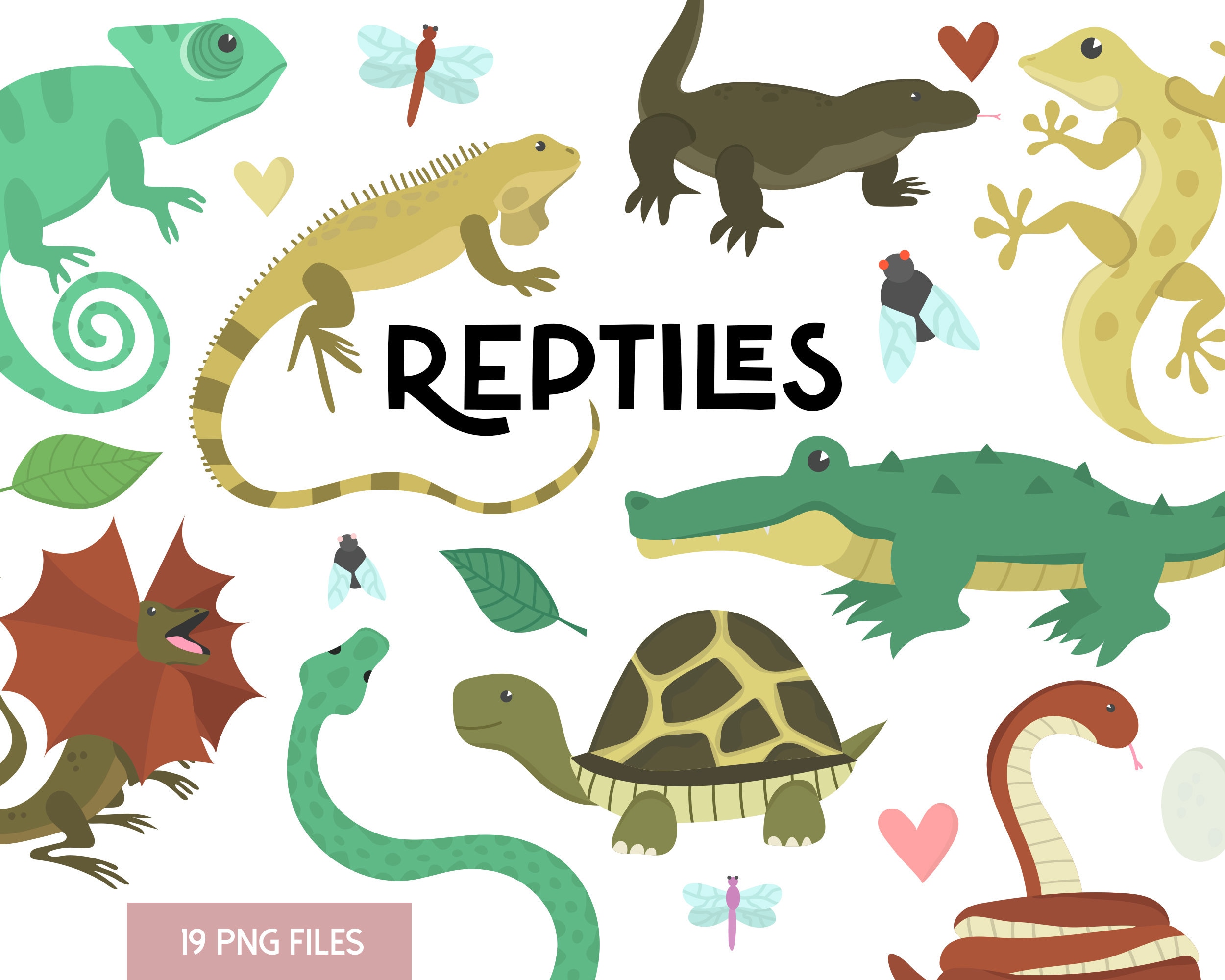 Reptiles Clipart, Reptiles PNG, Komodo Dragon Clipart, Iguana Clipart