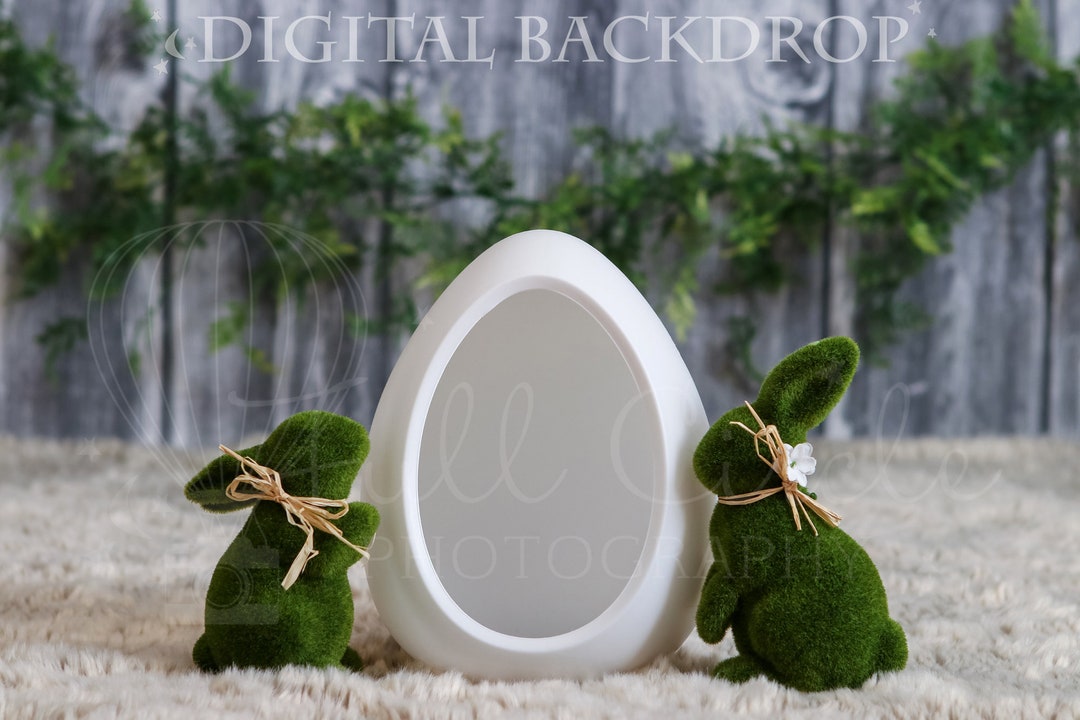 Oeufs de Pâques Lapin Blanc Bois Studio Toile de Fond SH598 main image 1