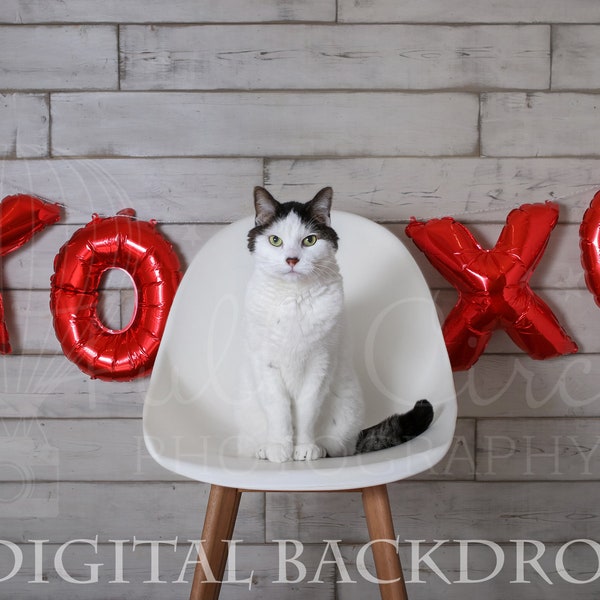 Valentine's Day Digital Backdrops/Props (Newborn Photography Prop. Sitter Digital Prop. White Chair, XOXO balloons) 2 Digital Downloads