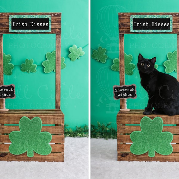 St. Patricks day Digital Backdrops (Child or Pet Photography. Sitter Digital Prop. Irish Kisses booth, Shamrock wishes ) Digital Download
