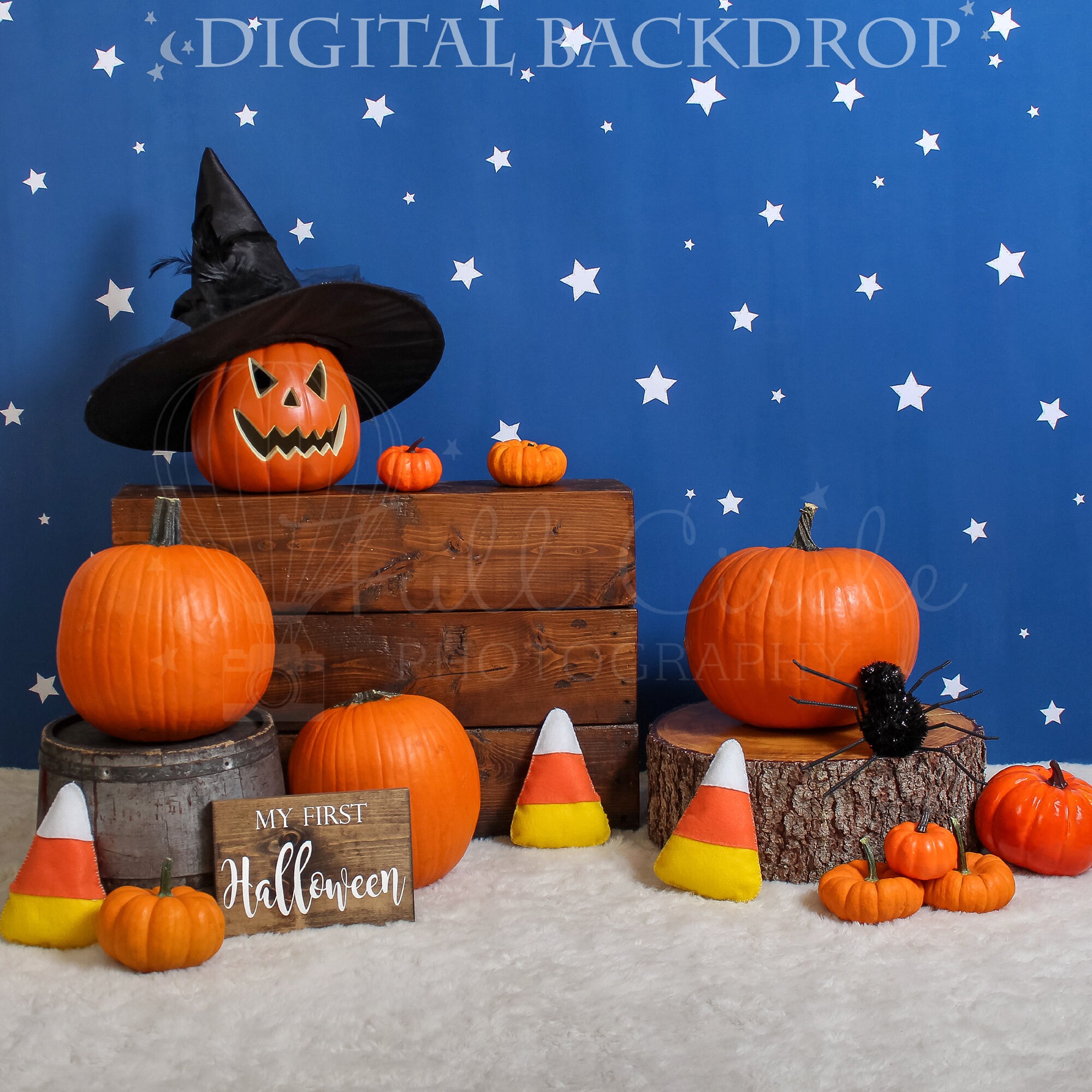 Personalized Spooky Halloween Vinyl Backdrop Banner, Halloween Party