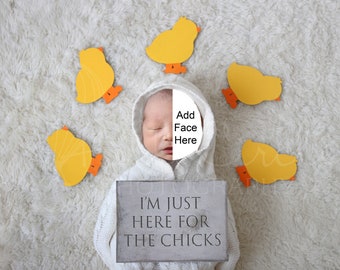 Easter Newborn Digital Backdrop (Newborn Photography Prop. Newborn PNG - Add baby face. I'm Just here for the chicks) Digital Download PNG