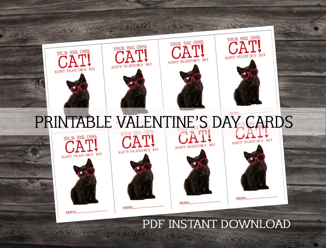 Printable Kitten Valentine's Day Card Your One Cool Cat Pdf-instant Download - Etsy