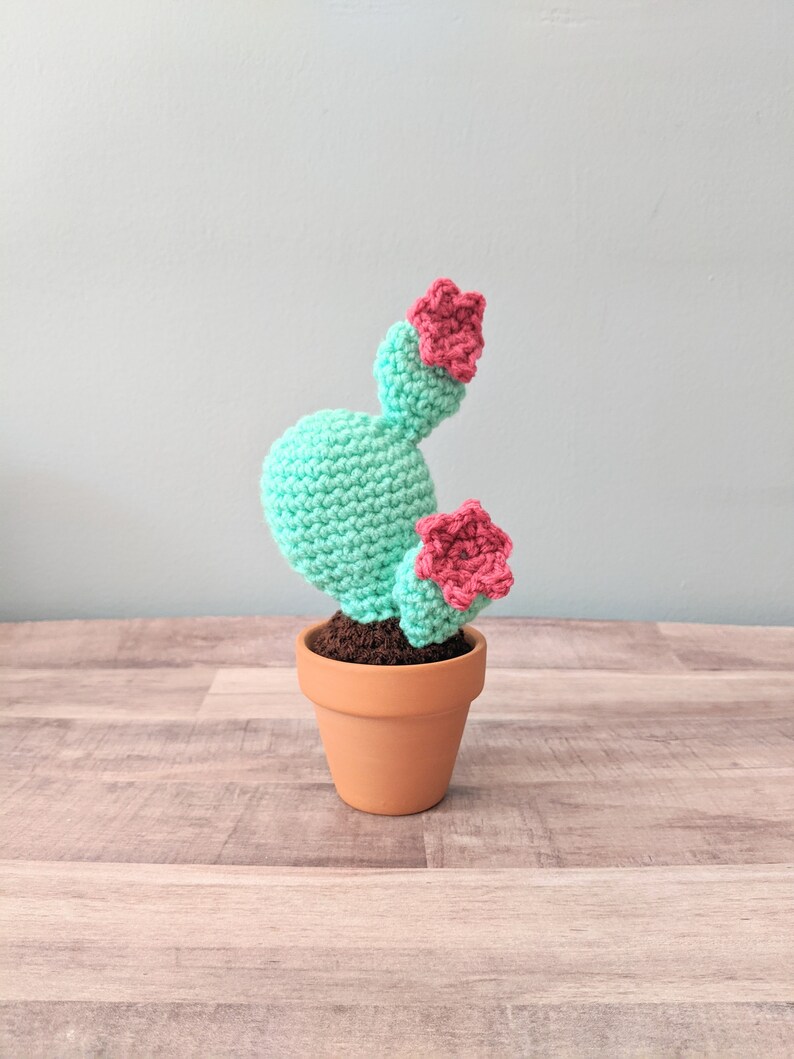Cactus Home Decor Desert Theme Dorm Room Faux Plant Father S Day Gift Western Theme Housewarming Present Crochet Cactus In Pot Home Living Home Decor Mediacraft Ae