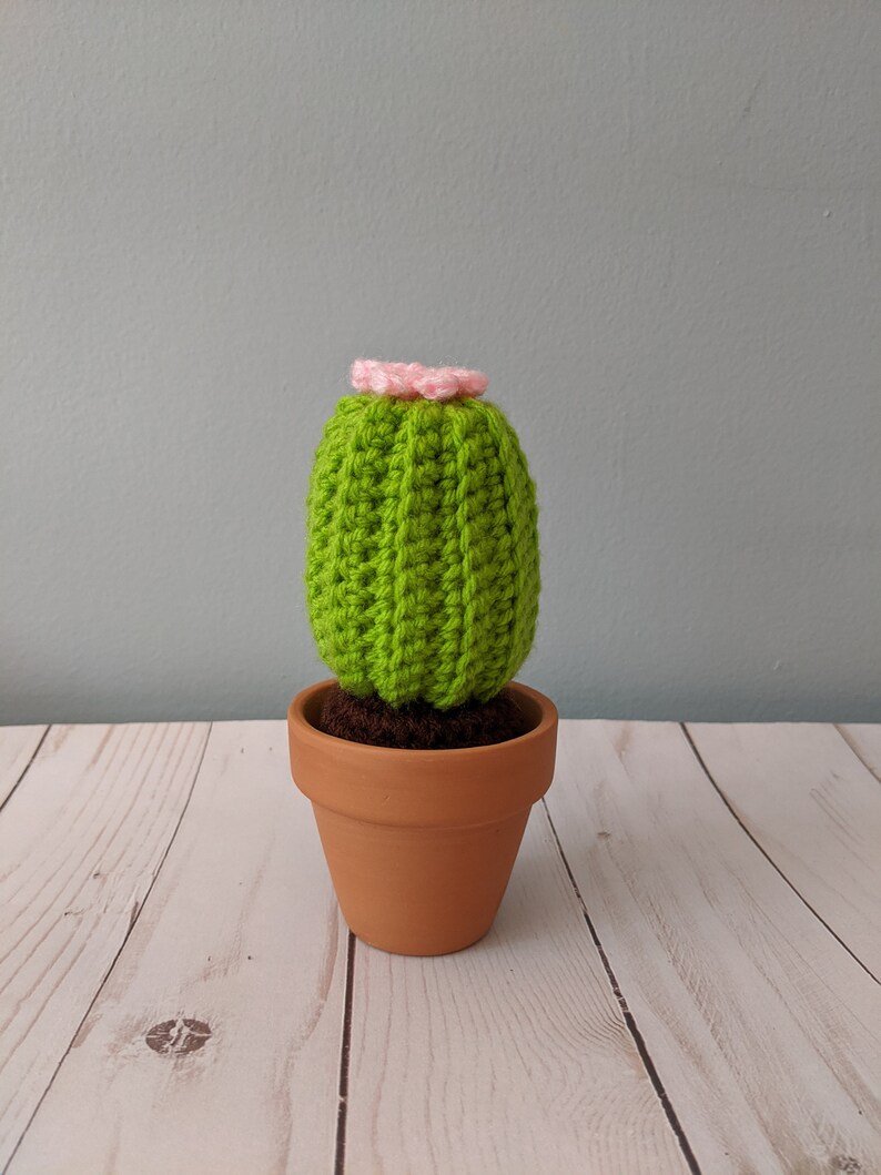 Father S Day Gift Western Theme Housewarming Present Cactus Home Decor Faux Plant Crochet Cactus In Pot Desert Theme Dorm Room Statues Home Living Efp Osteology Org