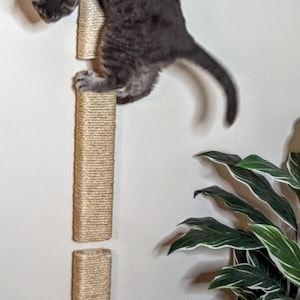 May include: A grey cat climbing a sisal-covered scratching post mounted on a white wall. The scratching post is made of three sections, each with a different length. A green leafy plant is in the background.