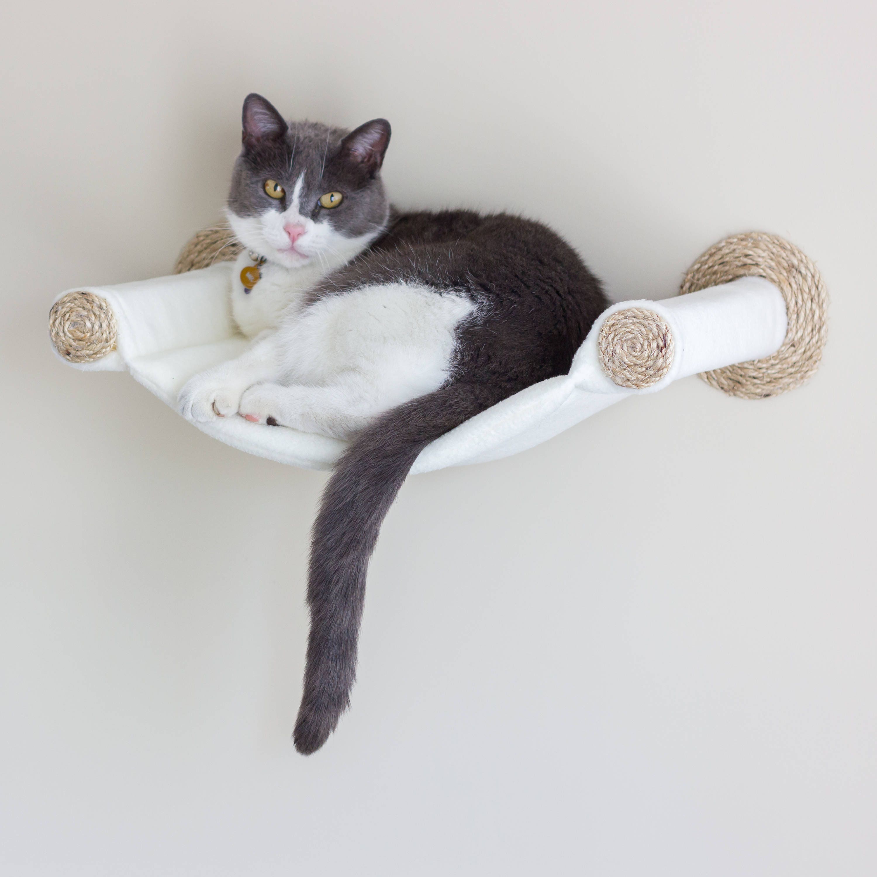 Wall mounted hotsell cat hammock