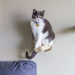 Cat Scratching Post / Cat Climbing Post / Wall mounted Pet Furniture / Cat Tree/ Cat Walk / Floating Cat Perch - One Sisal Step