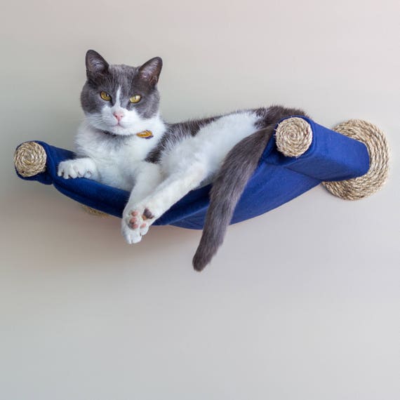wall mounted cat toys