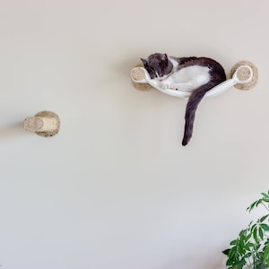 Könnte beinhalten: Ein weißes Katzenbett mit einer grau-weißen Katze, die darin schläft. Das Bett ist mit zwei seilumwickelten Pfosten an einer Wand befestigt.
