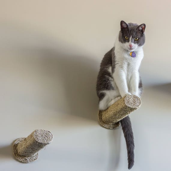 alberto cat scratching post