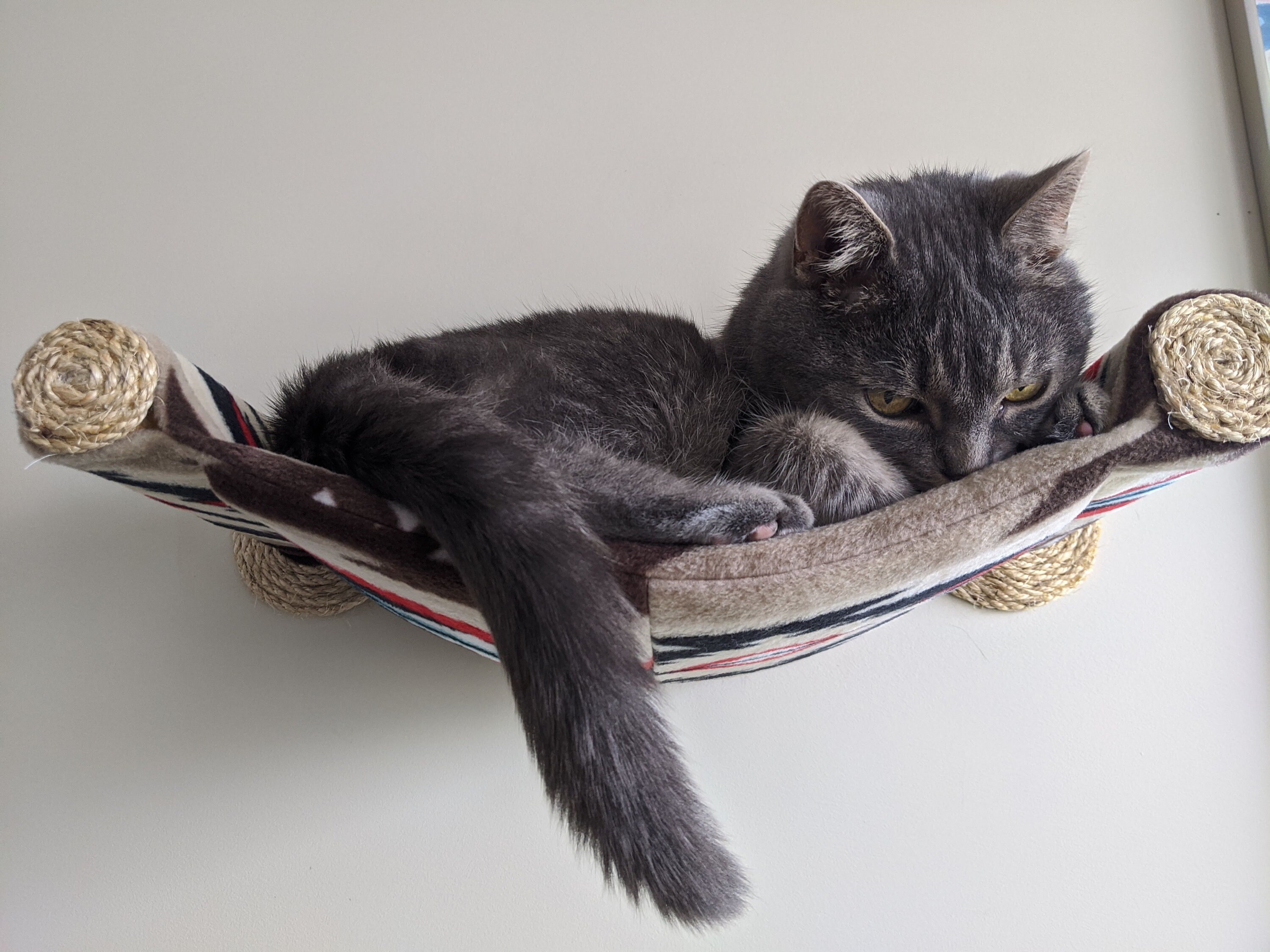 Best Cat Tree Cat Hammock Cozy Cat Bed Unique Gift for Etsy