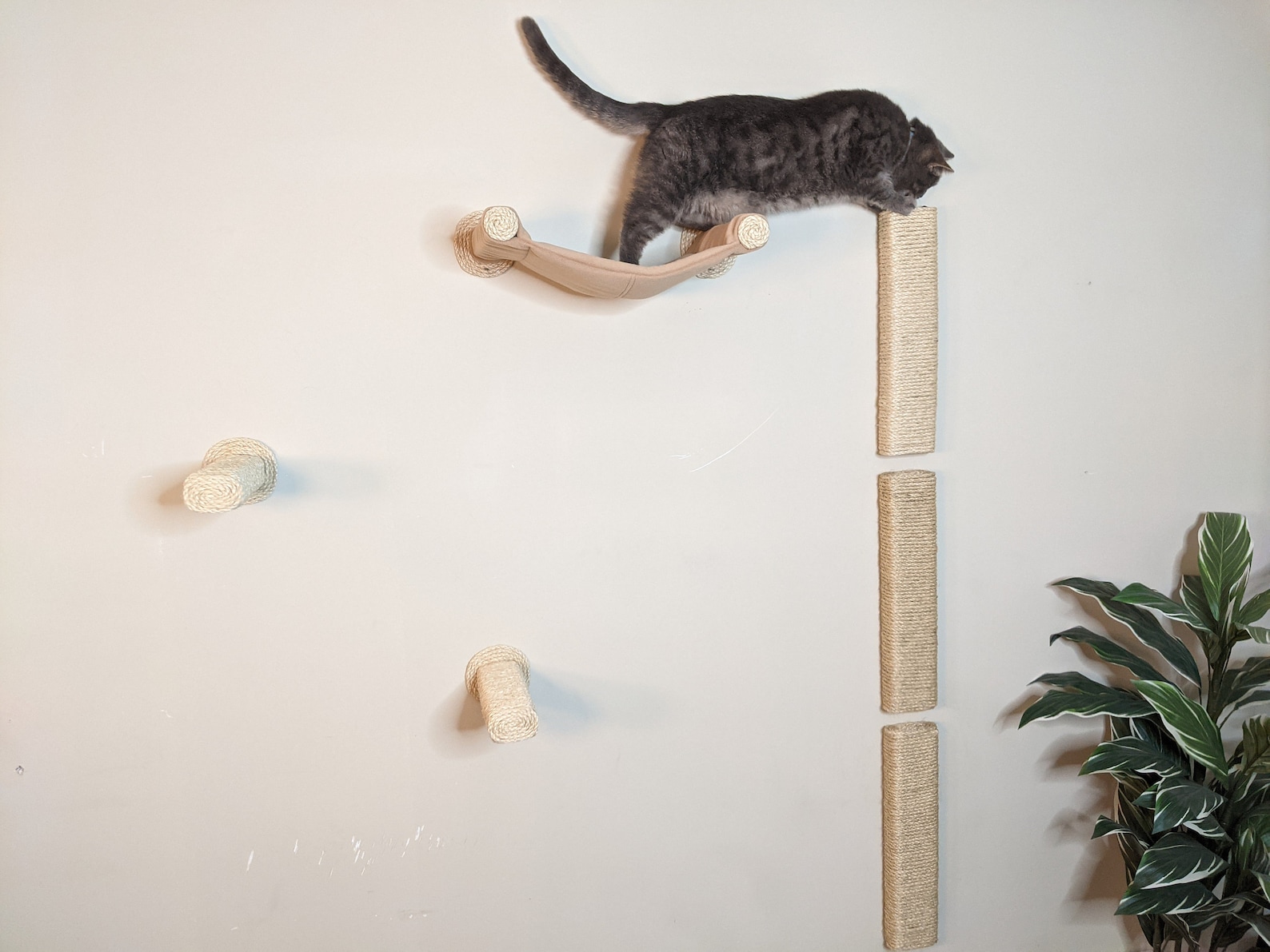 Cat Play Furniture Wallmounted Scratching Climbing Steps With Etsy