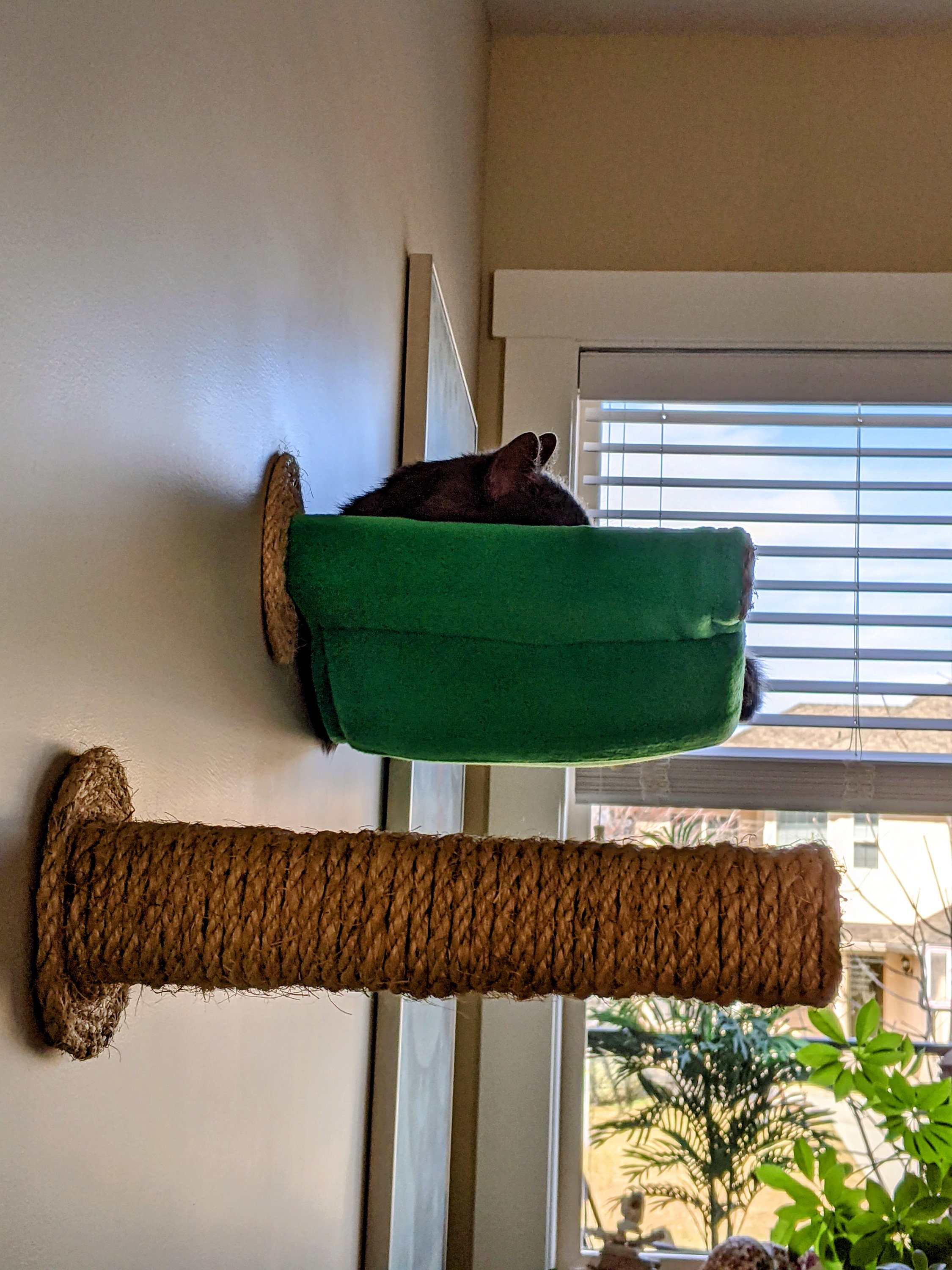 Cat Hammock Cat Tree Cozy Cat Bed Unique Gift for Cat Etsy UK