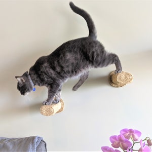 Cat Stairs / Wall-Mounted Cat Steps/ Cat Furniture / Cat Scratching / Sisal Climbing Post /Kitty Steps / Floating Cat Perch - 2 Step Pack