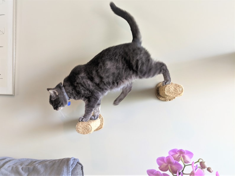 Cat Stairs / Wallmounted Cat Steps/ Cat Furniture / Cat Etsy
