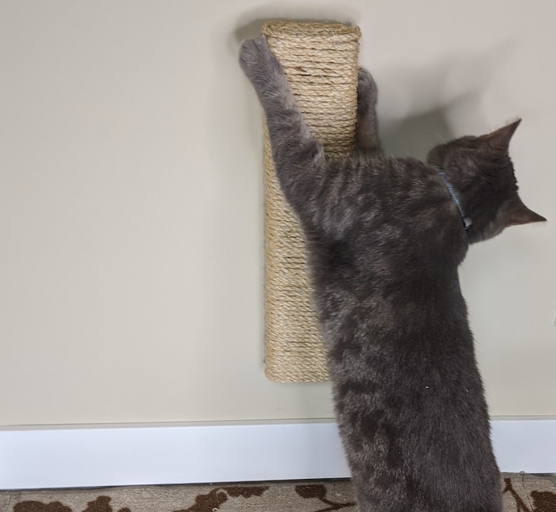 May include: A gray tabby cat scratching a sisal-covered scratching post mounted on a wall. The post is beige and has a natural rope texture.