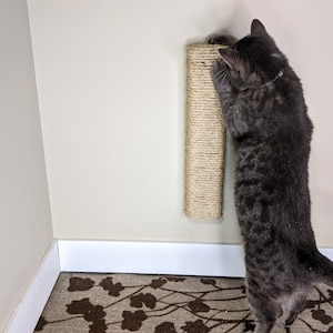 May include: A gray tabby cat scratching a sisal-covered scratching post mounted on a wall. The post is beige and has a rough texture. The cat is standing on a brown patterned carpet.