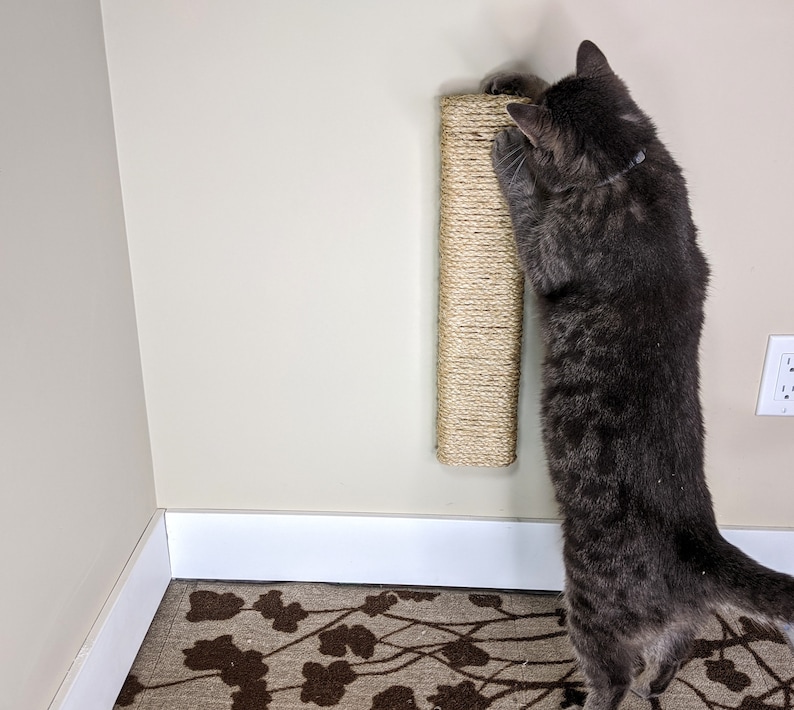 May include: A gray tabby cat scratching a sisal-covered scratching post mounted on a wall. The post is beige and has a rough texture. The cat is standing on a brown patterned carpet.