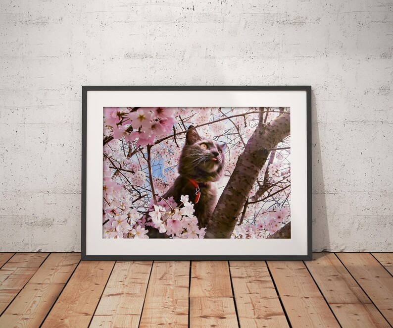 printable-photographic-poster-downloadable-card-art-landscape-etsy