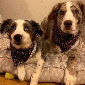 Football Dog Bandana