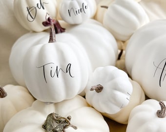 Puede incluir: Una colección de calabazas blancas de varios tamaños, algunas con nombres escritos en escritura negra. Las calabazas tienen tallos marrones y están dispuestas sobre una superficie de color crema. Los nombres incluyen "Tina", "Nicole", "Ben", "Maggie" y "Dan".
