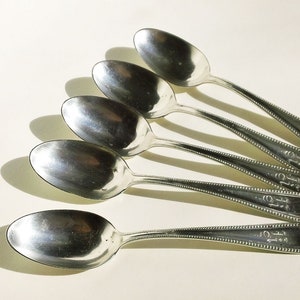May include: Five silver spoons with beaded edges are arranged in a fan shape on a white surface. The spoons are all the same size and shape, and they have a simple, elegant design.