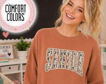 Senior Shirt, Class of 2027 Tee, Comfort Colors Shirt, Retro Senior Sweatshirt, Senior Hoodie, Graduation Gift