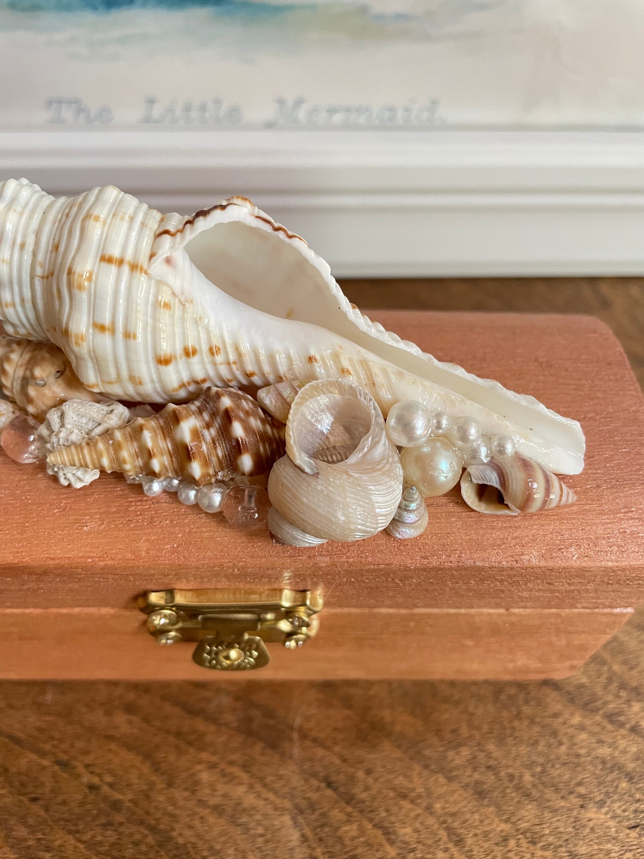 Seashell Box gift for her birthday gift baby shower gift Etsy