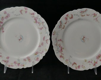 Set 2 HAVILAND Limoges Schleiger 63B SALAD PLATES pink flowers blue scrolls