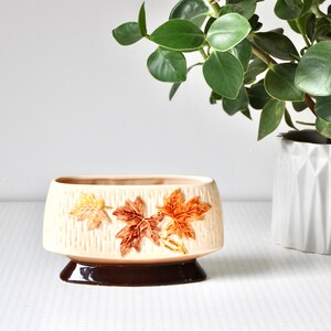 May include: A ceramic planter with a brown and white design featuring stylized leaves in shades of orange, yellow, and brown. The planter has a rounded oval shape with a brown base.
