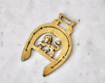 May include: A gold-colored metal horseshoe-shaped charm with a lion design in the center.