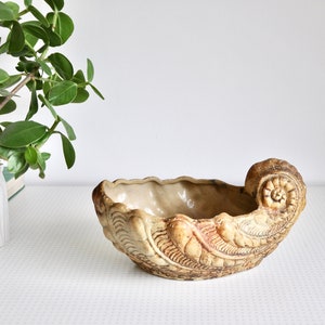 May include: A ceramic planter shaped like a seashell with intricate details. The planter is a light brown colour with a beige interior.