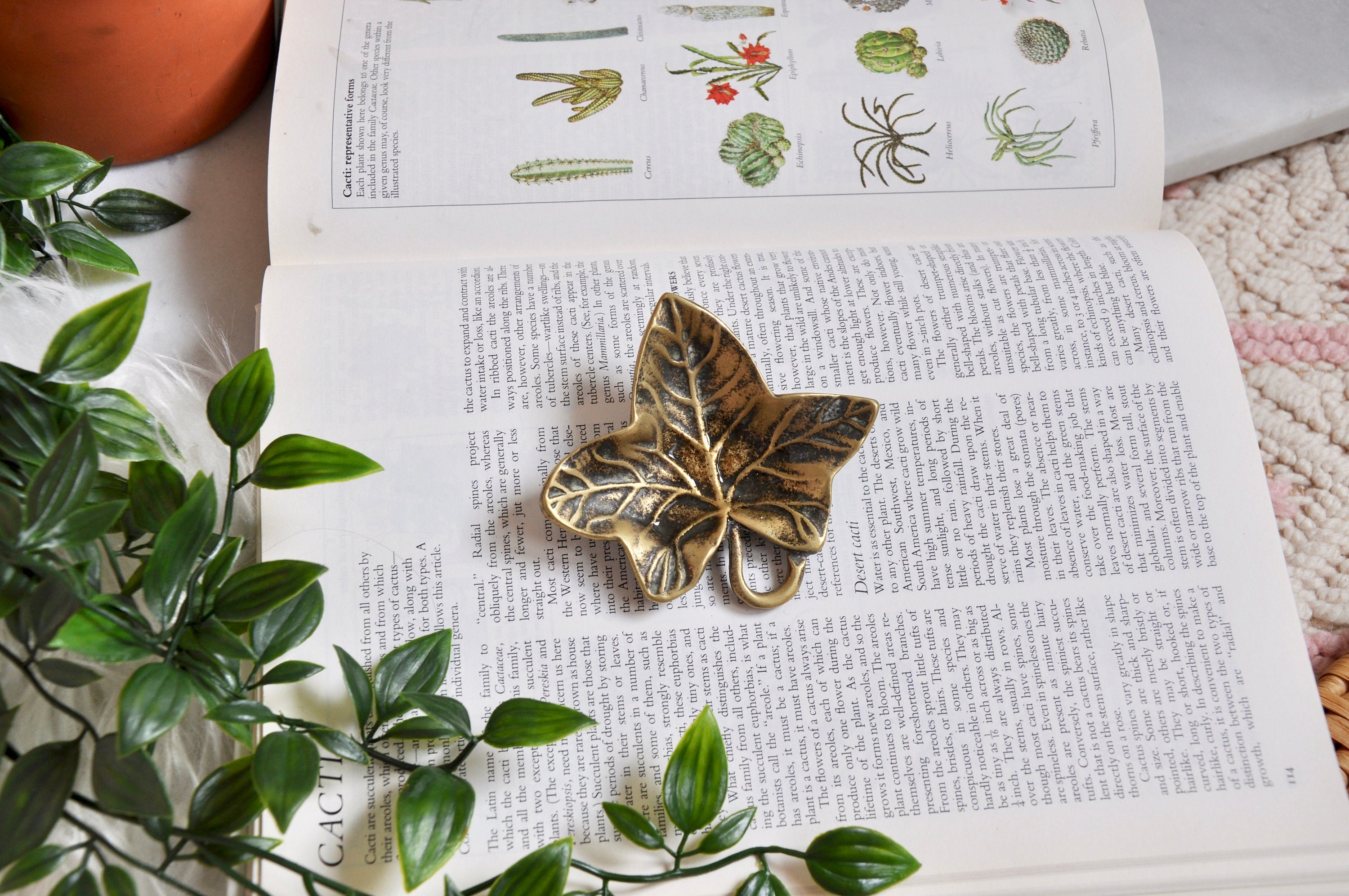 真鍮製 リーフ型 器 小物入れ ヴィンテージ フランス 1970年代