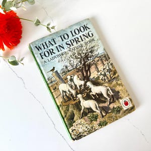 Vintage Ladybird What to Look for in Spring nature book from 1961