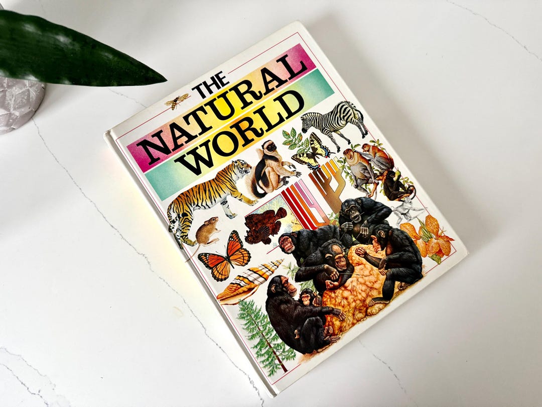 Vintage Usborne the Natural World Animal Reference Encyclopedia Book ...