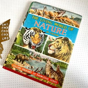 Vintage Collin's Living World of Nature en color libro de animales de la naturaleza de 1972