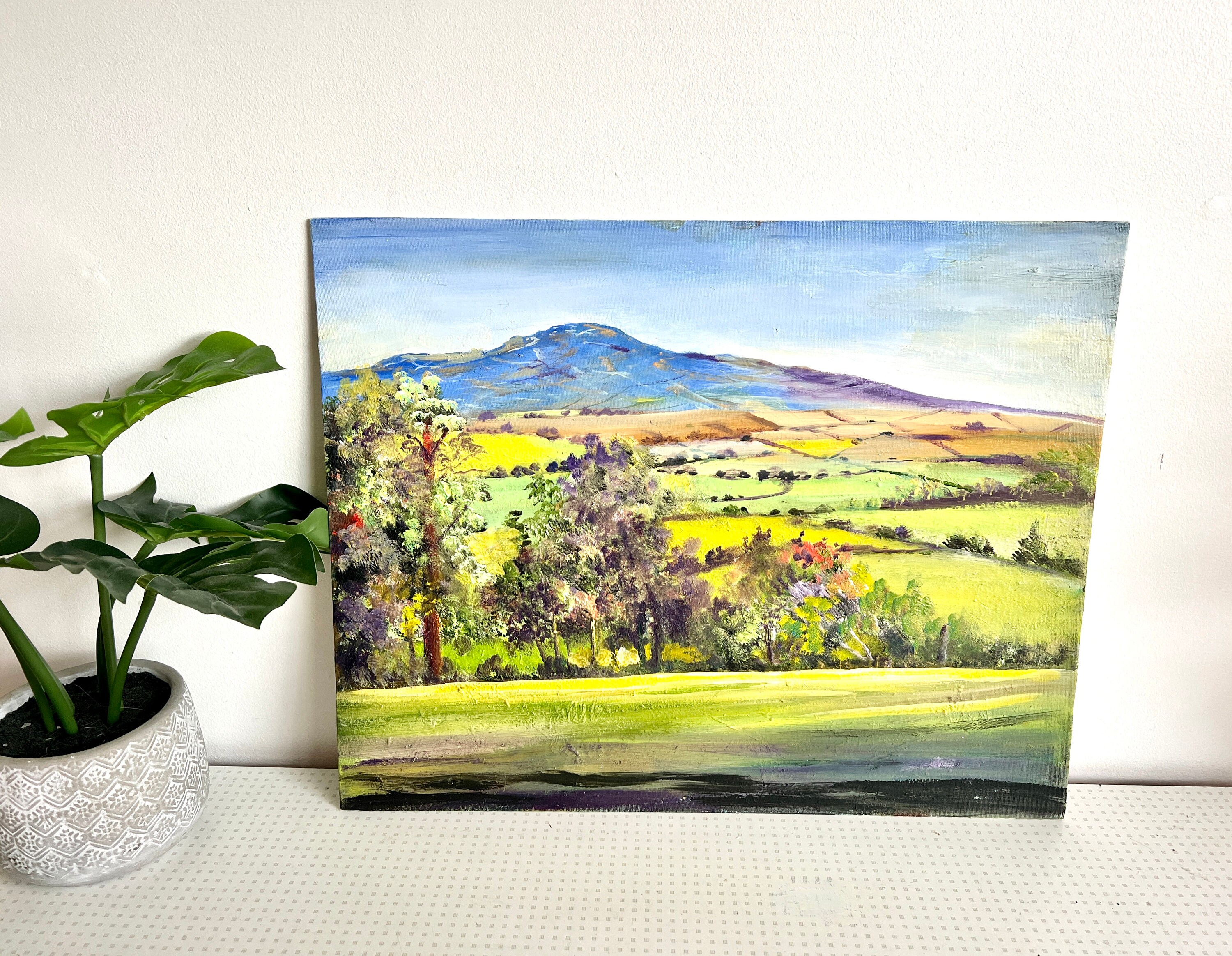 Vintage Amateur Landscape Oil Painting on Canvas 1970s Etsy UK