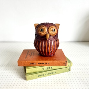 Vintage rattan owl basket or trinket holder from the 1970s