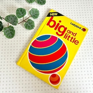 Vintage Ladybird Big and Little book from 1990