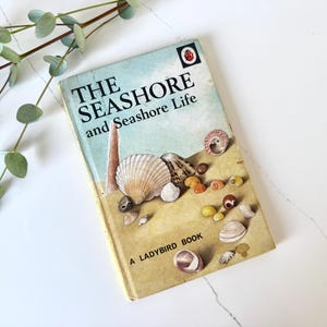 Vintage Ladybird The Seashore book from 1964