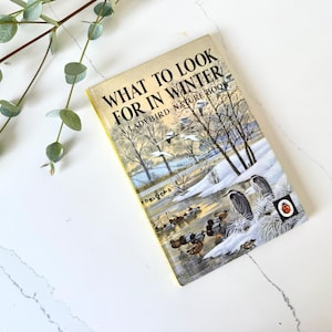 Vintage Ladybird What to Look for in Winter nature book from 1959