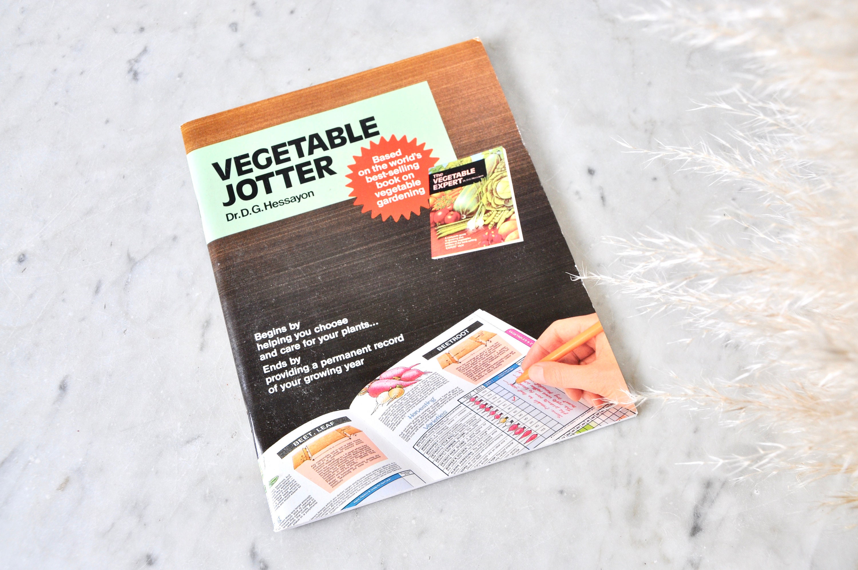 Vegetable jotter by dr dg hessayon 06 image