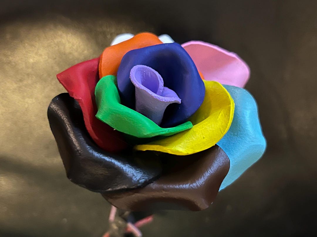 rainbow-rose  RAINBOW ROSE FLOWER SEEDS - COLORFUL | eBay